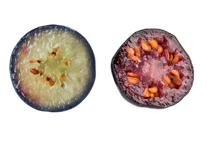 h0002820-85.747938751472