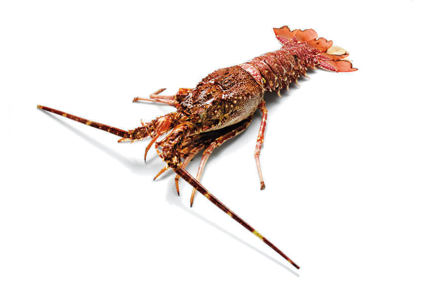 l0000200-85.747938751472