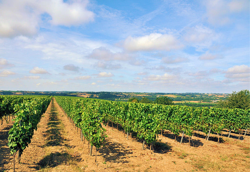 l0001110-85.747938751472