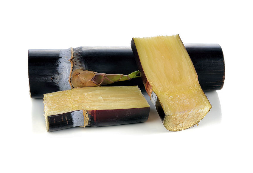 m0004720-85.747938751472