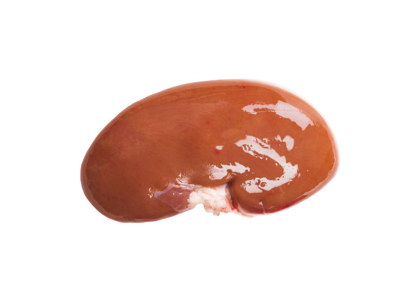 n0000210-85.747938751472