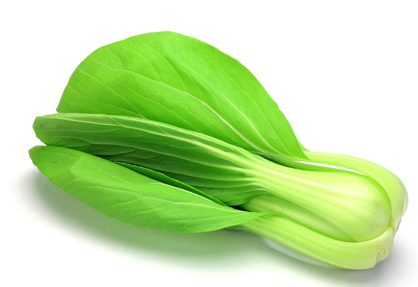 p0000120-85.747938751472