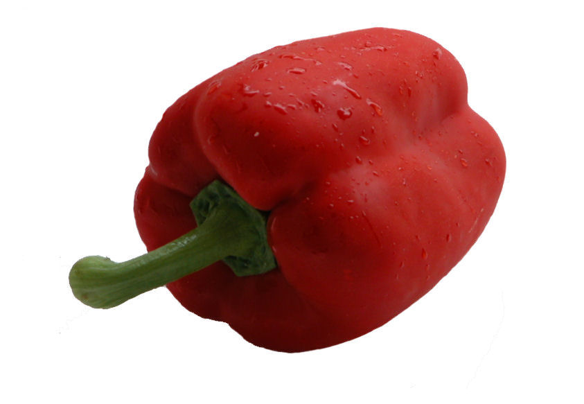 p0000140-86.358244365362