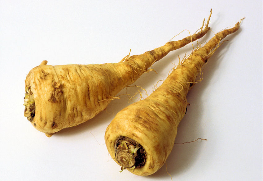 p0000150-85.747938751472