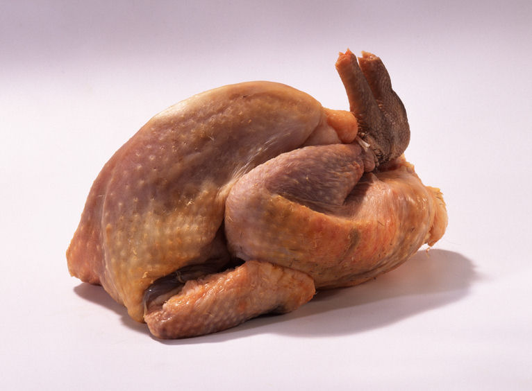 p0000610-95.039164490862