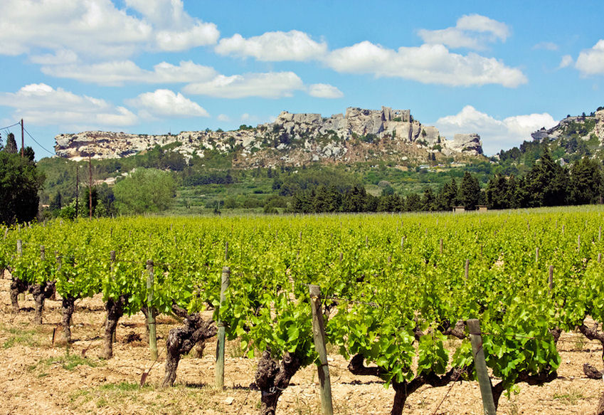 p0002030-85.747938751472