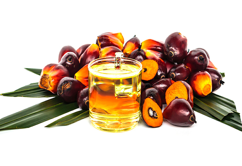 g0004870-85.747938751472