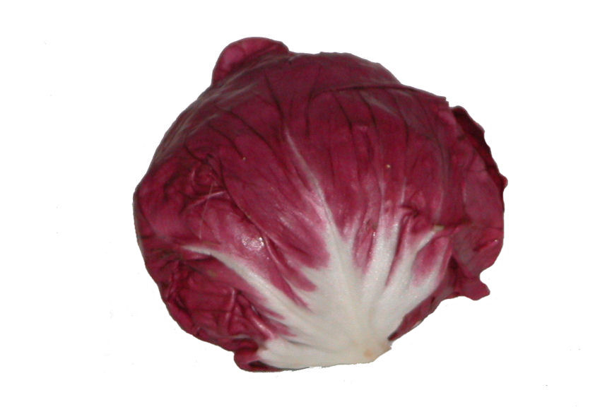 r0000140-85.747938751472