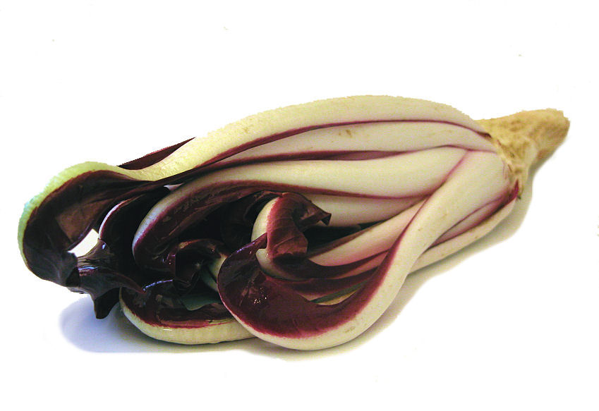 r0000140-85.747938751472