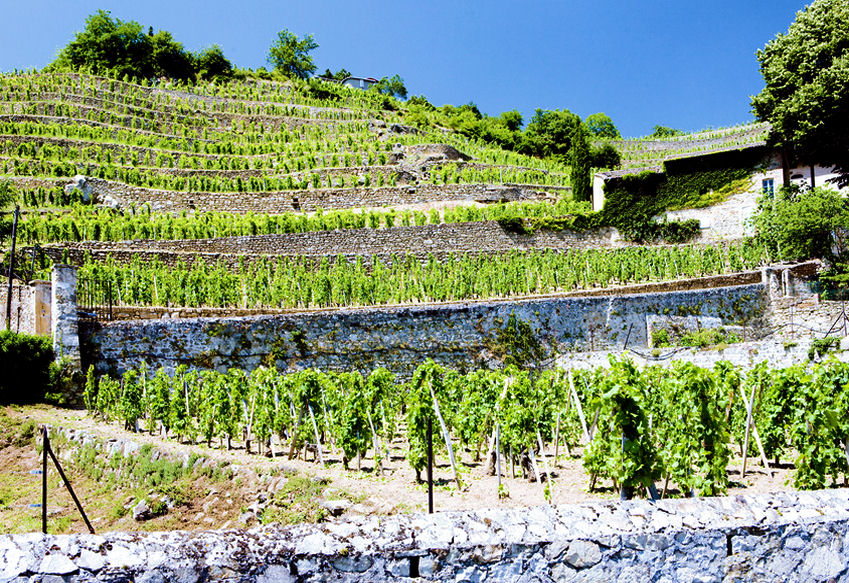 r0001890-85.747938751472