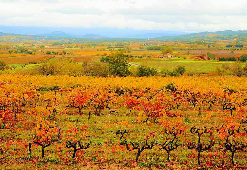 r0001890-85.747938751472