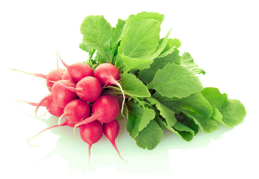 r0001490-86.358244365362