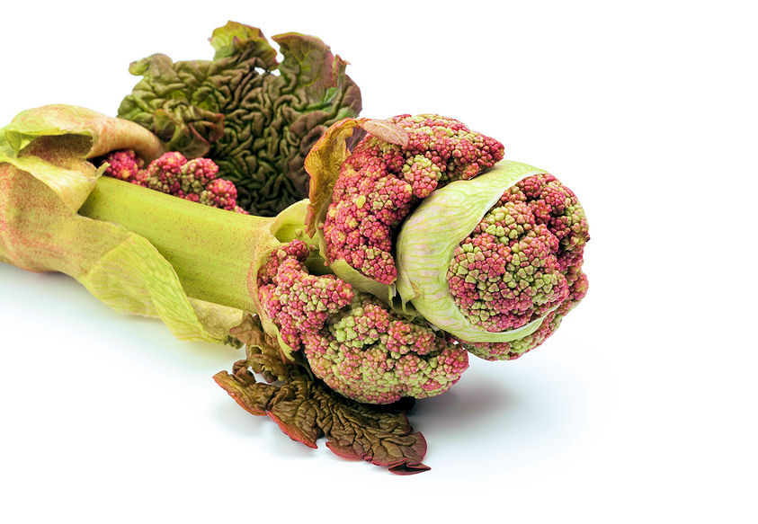 r0001170-86.358244365362