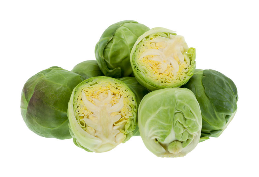 r0000190-85.747938751472