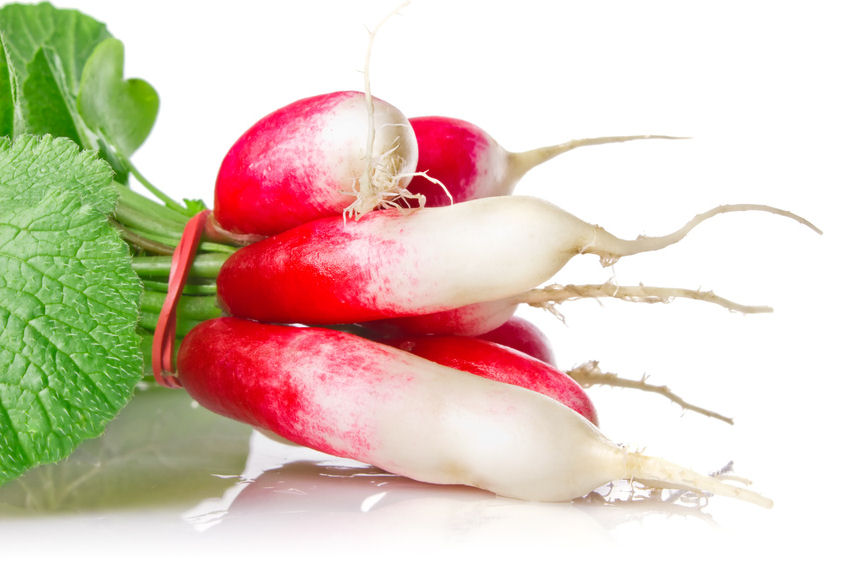 r0001490-86.358244365362