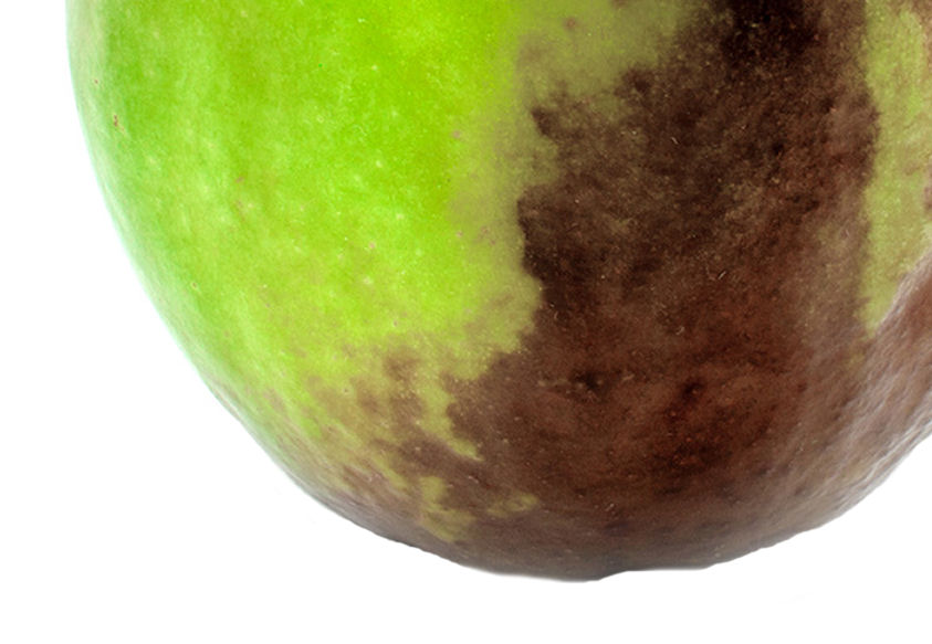 sch02150-86.358244365362