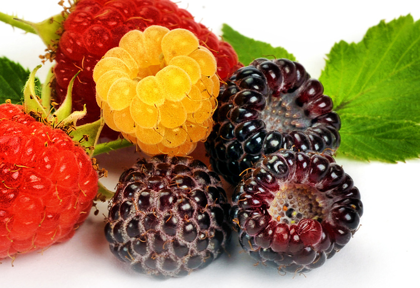 h0001490-85.747938751472