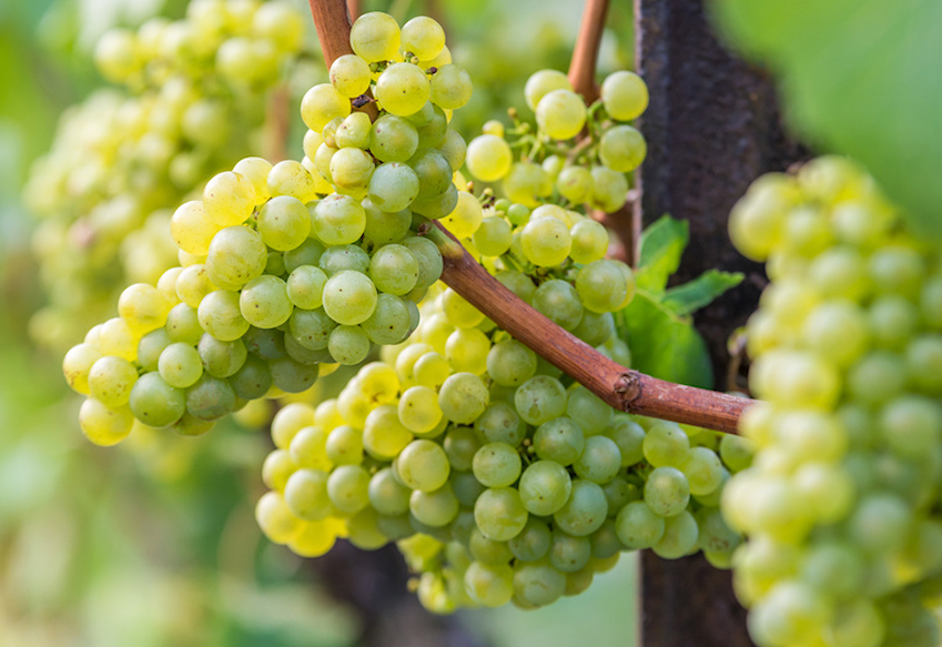 s0000060-85.747938751472