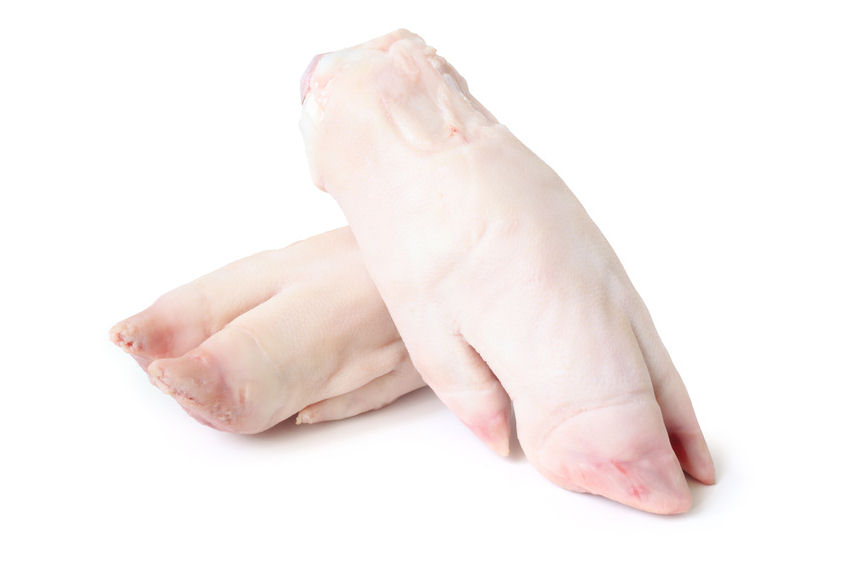 p0000460-85.747938751472