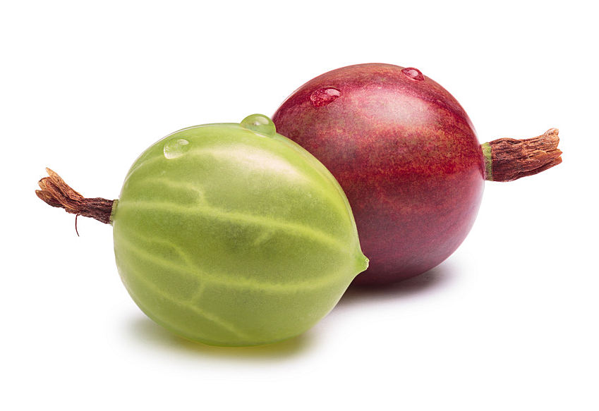 s0003530-85.747938751472