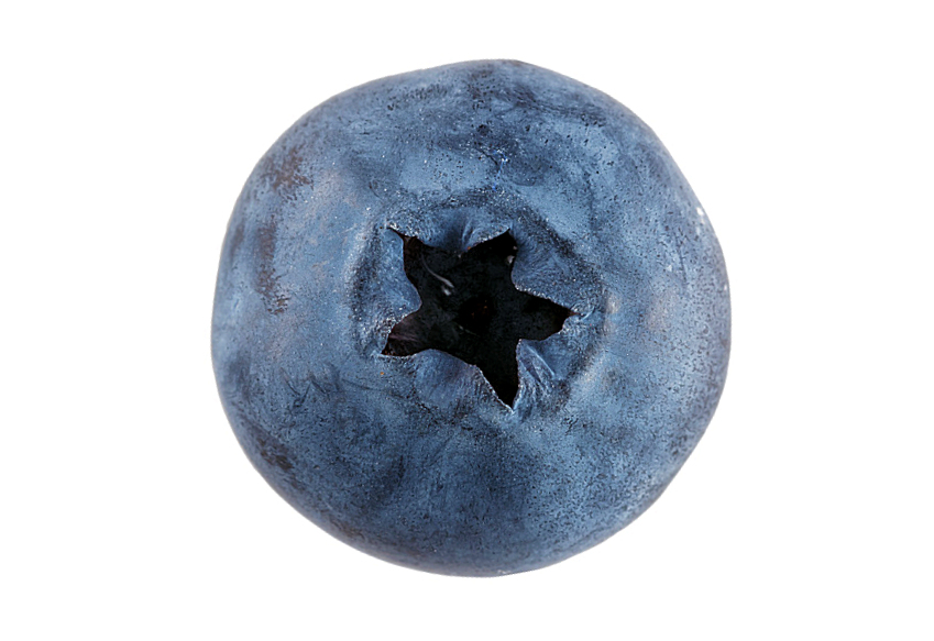 h0002820-85.747938751472