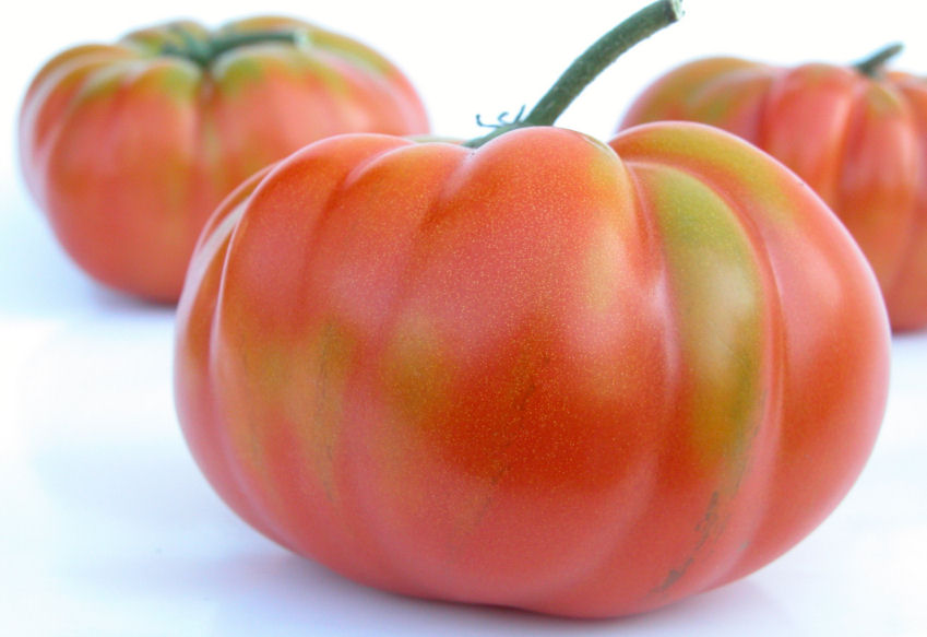 t0000110-85.747938751472