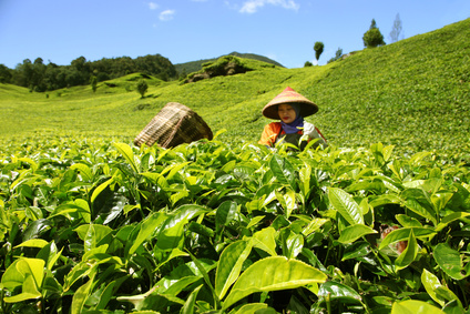 t0000130-171.69811320755