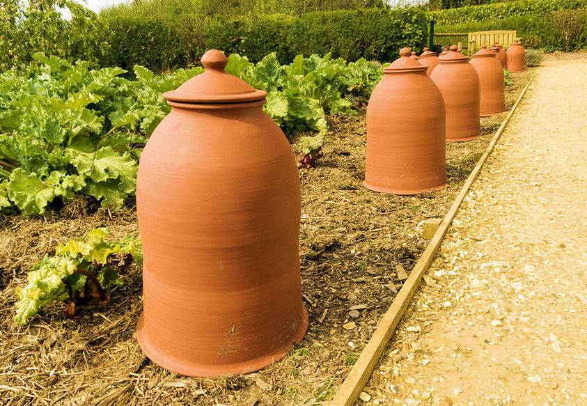 r0001170-86.358244365362