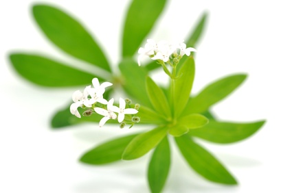 w0001760-171.29411764706