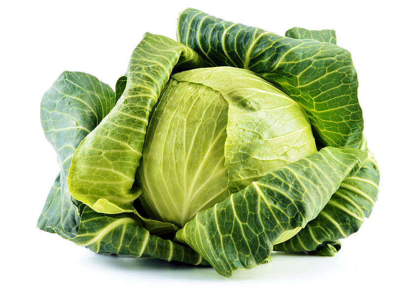 w0000090-86.358244365362