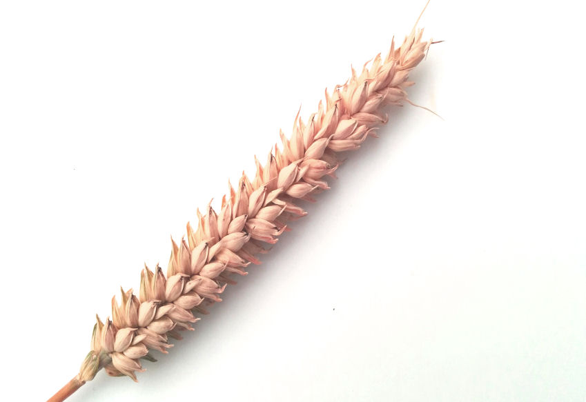 w0000300-85.747938751472