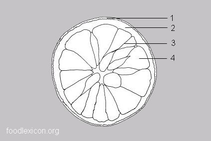 z0000140-171.69811320755