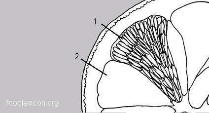 z0000140-171.69811320755